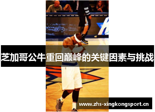 芝加哥公牛重回巅峰的关键因素与挑战 芝加哥公牛重回巅峰的关键因素与挑战
